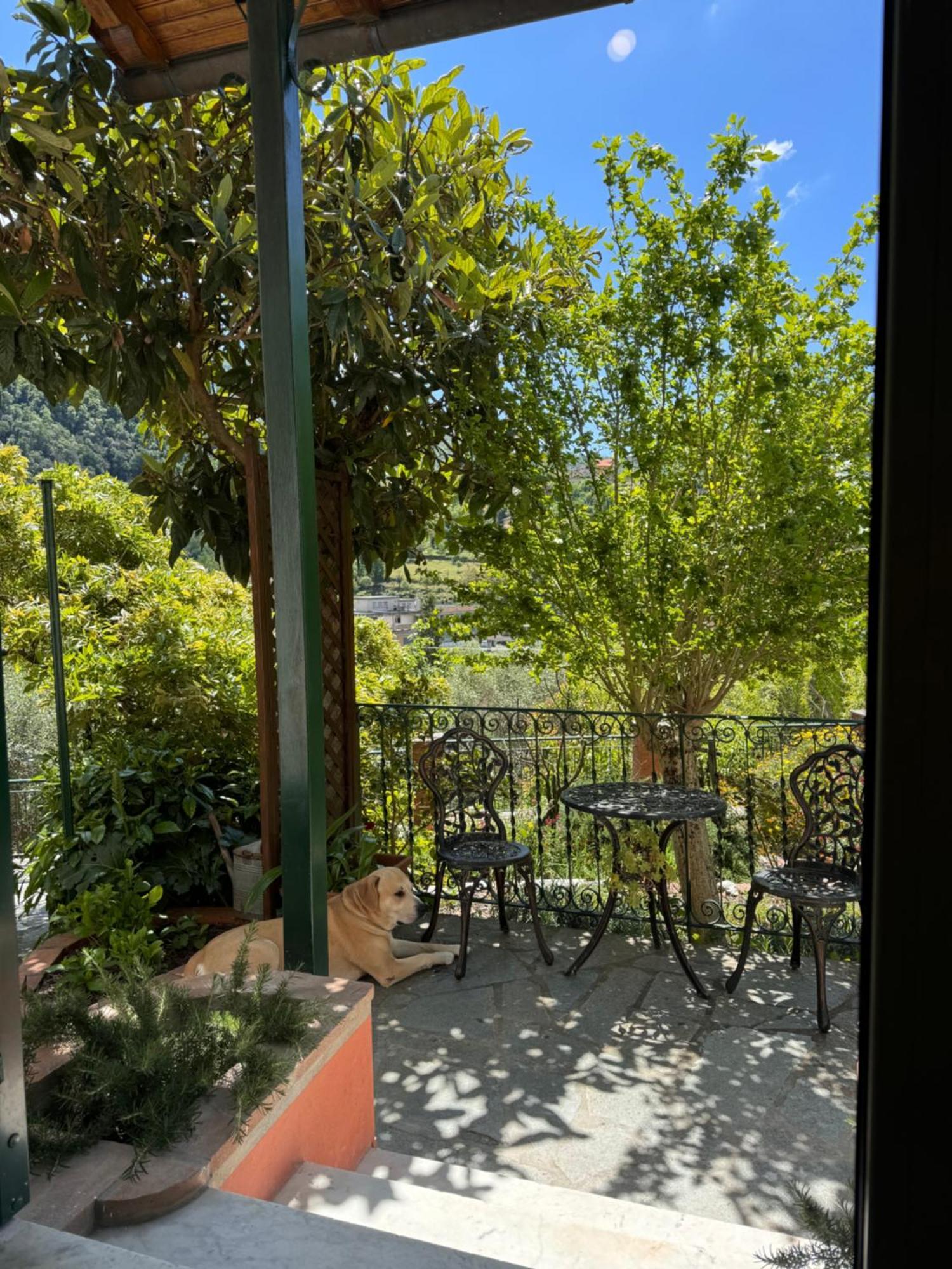 “Da Gio” In Un Antico Borgo Di Genova Apartment Luaran gambar